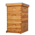 10 Frame Unassembled Complete Hive Kit With Foundation - (2)Deep & (1)Medium