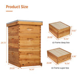 10 Frame Unassembled Complete Hive Kit With Foundation - (2)Deep & (1)Medium