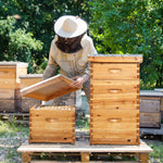 10 Frame Unassembled Complete Hive Kit