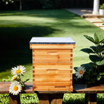 ihivefarm 10 Frame Unassembled Complete Hive Kit With Foundation