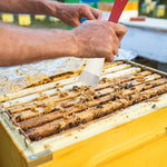 Bee Hive Tool 2PCS-J Hook Bee Frame Lifter and Scraper