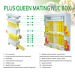 Queen Bee Mating Nuc Box for Bees Queen Rearing-two layers