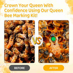 Queen Bee Marking Kit, Beekeeping Supplies Tools for Beehive