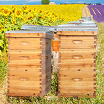 10 Frame Unassembled Complete Hive Kit With Foundation - (2)Deep & (1)Medium