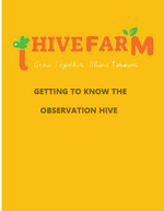 Children's Beekeeping Knowledge Guide (20-page Manual)