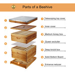 10 Frame Unassembled Complete Hive Kit