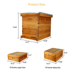 10 Frame Unassembled Complete Hive Kit