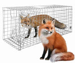 Large Live Animal Traps,Humane Animal Trap-51.2inch