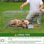 Large Live Animal Traps,Humane Animal Trap-51.2inch