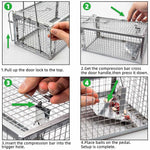 Rat Trap,Mouse Voles Hamsters Live Cage Catch and Release 1-Pack