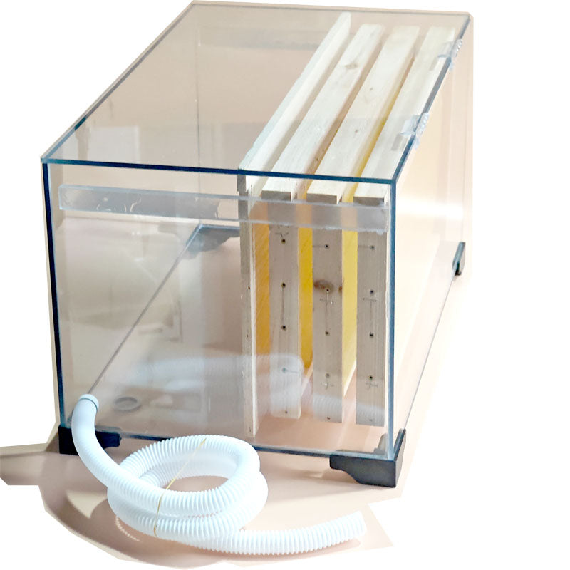 Transparent Beehive PC Hive Kit-10 frames