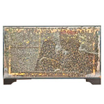 Transparent Beehive PC Hive Kit-10 frames