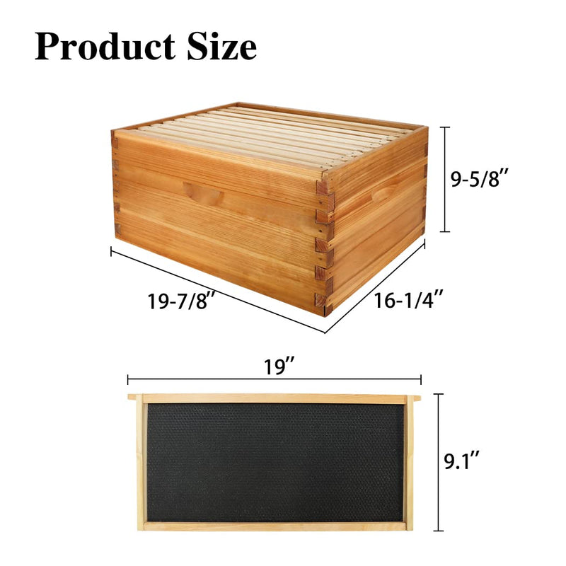 10 Frame Beehive Box, Langstoth Deep Brood Bee Hive Box,Includes Woode ...