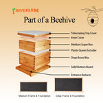 ihivefarm 10 Frame Unassembled Complete Hive Kit With Foundation