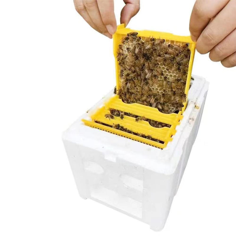 Queen Bee Rearing Beehive,Bee breeding Nuc – ihivefarm
