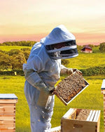 ihivefarm 10 Frame Unassembled Complete Hive Kit With Foundation