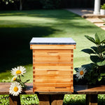ihivefarm 10 Frame Unassembled Complete Hive Kit With Foundation