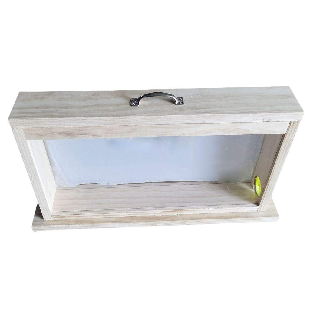 Observation Hive-2 frame – ihivefarm