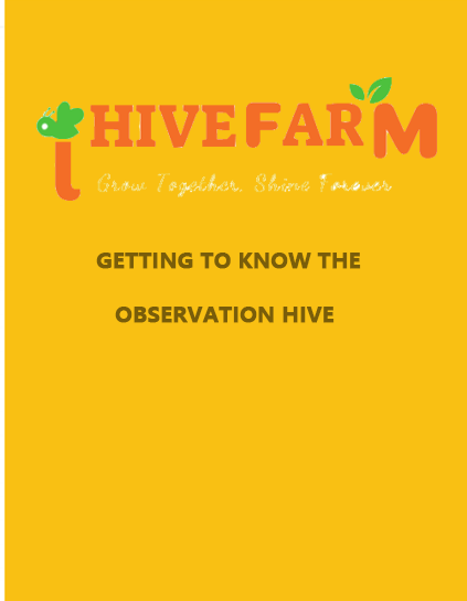 Children's Beekeeping Knowledge Guide (20-page Manual)