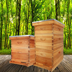 10 Frame Unassembled Complete Hive Kit